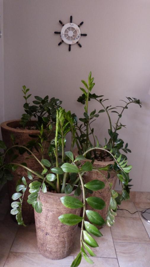 קולצ'סטר Settle Inn Self Catering Units מראה חיצוני תמונה